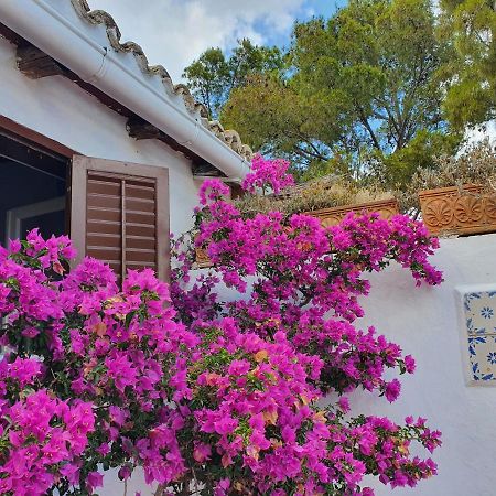 Villa Tonnara San Vito Lo Capo Ngoại thất bức ảnh