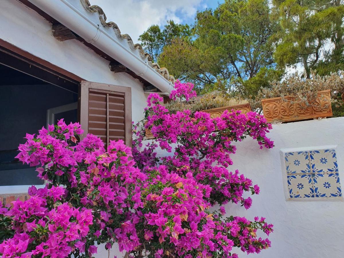 Villa Tonnara San Vito Lo Capo Ngoại thất bức ảnh